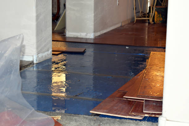 Professional Basement Flood Cleanup technician working in Harcourt, IA